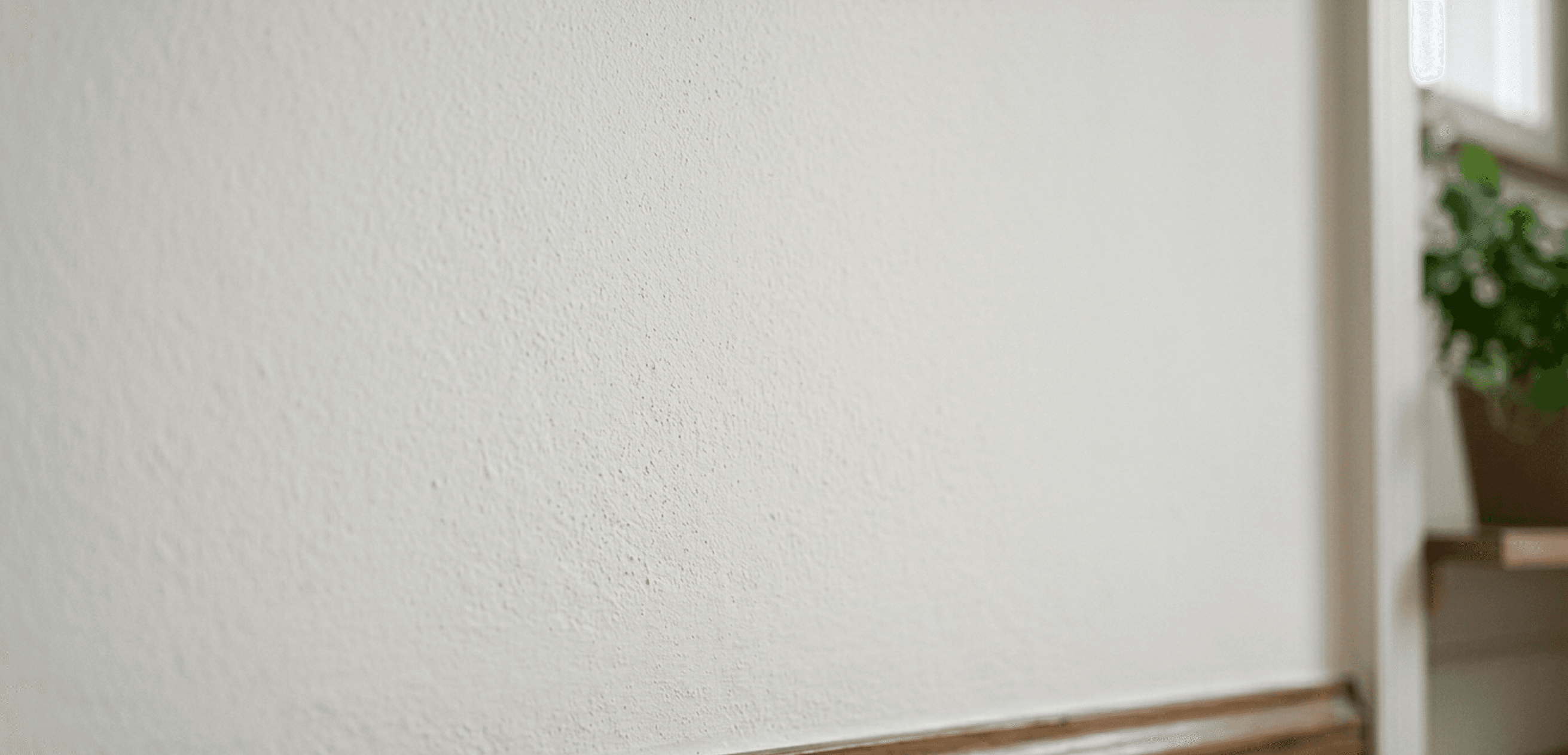 Wand nach Schimmelbehandlung