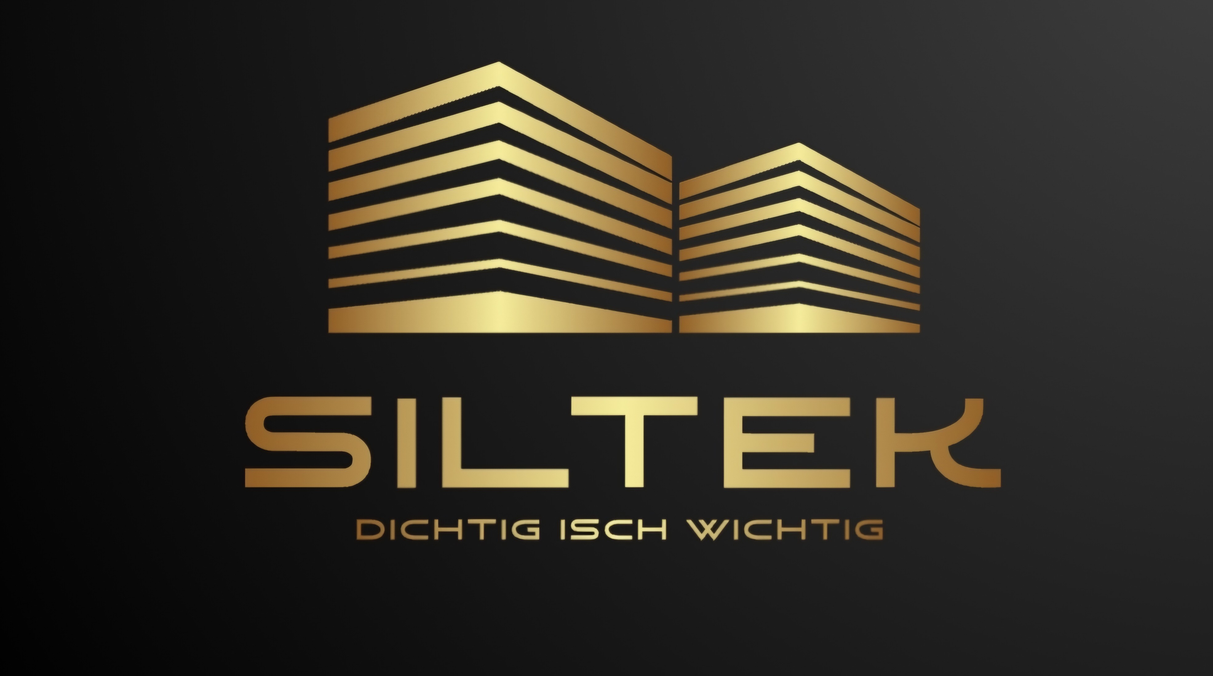 SILTEK GmbH Logo - Professionelle Innenrenovierung und Sanierung